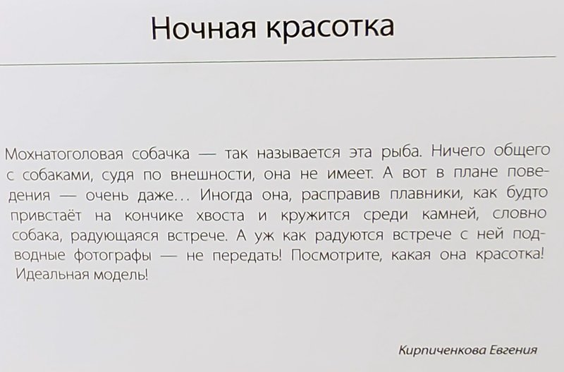 https://i.postimg.cc/brMwGCpt/IMG-20240326-111155.jpg
