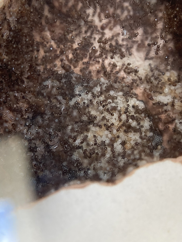 F0950497-DBC9-4189-8ECE-9CE6279BDDEA