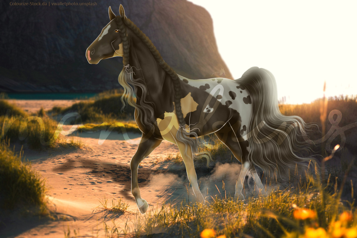 Sundance-Arion-Done