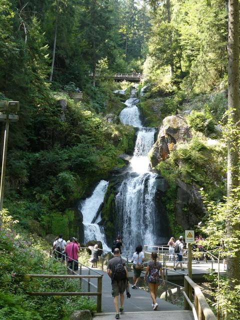 Día 9- Rodelbahn de Gutach, Triberg y Lago Titisee - ALSACIA, LAGO CONSTANZA Y SELVA NEGRA - Agosto 2017 (4)