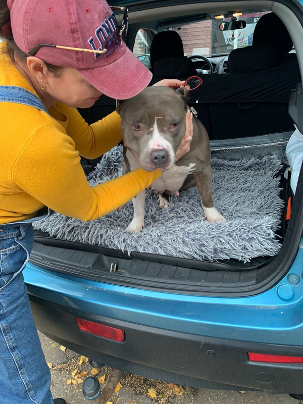 4881B83A-771E-4C02-9884-006A61657542