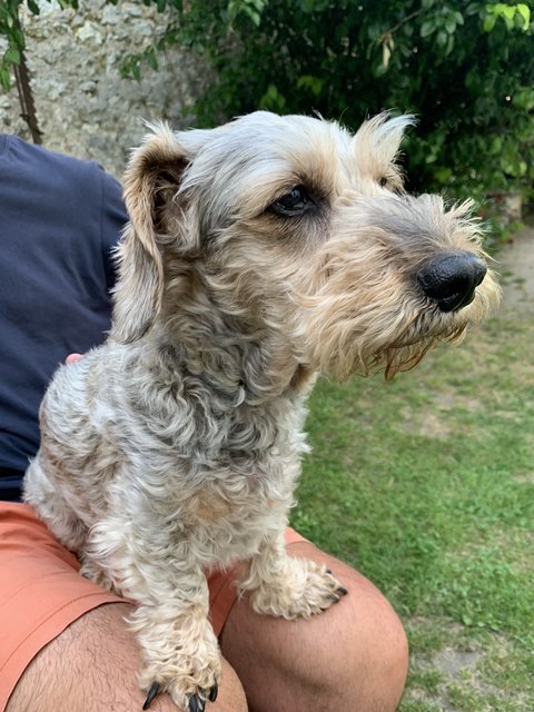 [Image: IMG-6706.jpg]