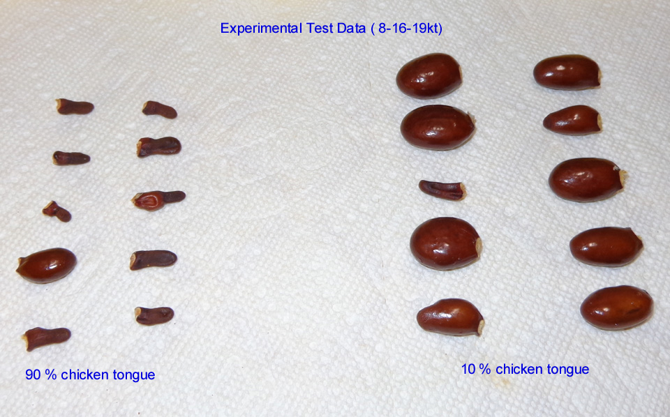 Brewster-Seeds2 (results)