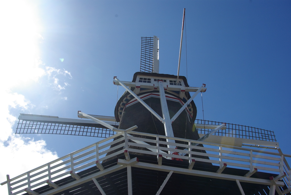 (03852) Windlust - Wolvega 3