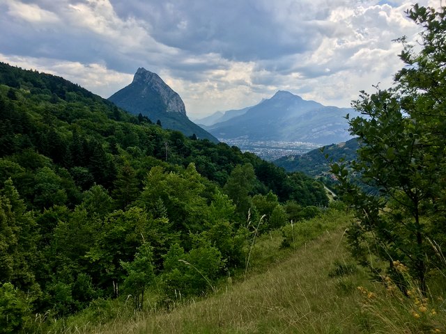 https://i.postimg.cc/brNcGdRw/IMG-2439.jpg