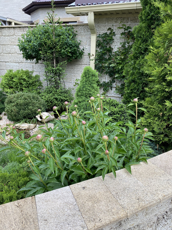 434A3DAD-D2AA-498B-96AA-354E6BC1F280