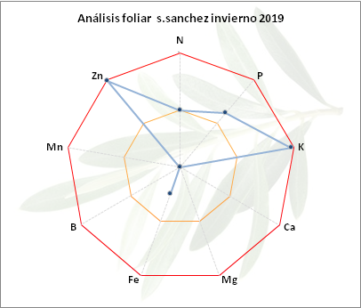 Análisis foliar salvasanchez Sanchez