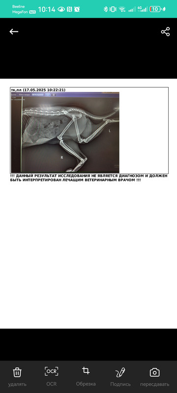 Screenshot_20250608_101423_document.scanner.scan.pdf.image.text