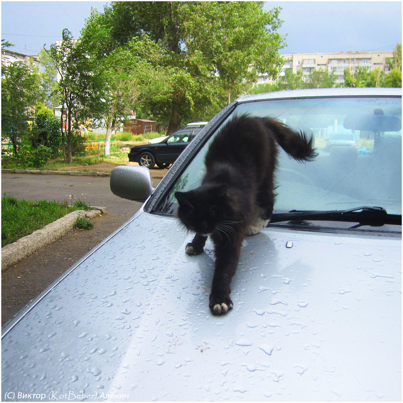 IMG-5195-2015