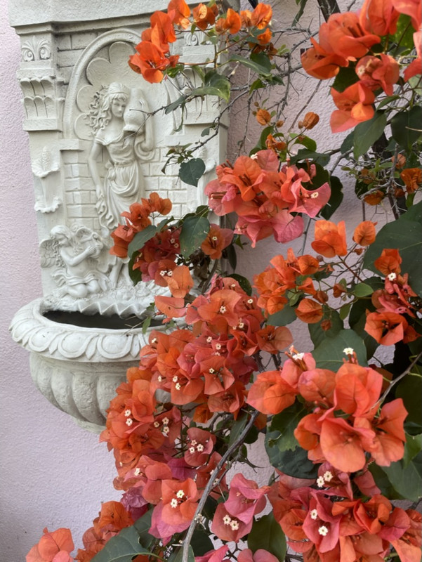 2CE81DC6-A2BE-4BCF-A117-439E177999C0_1_105_c