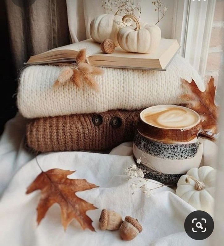 Screenshot_20231031_212530_Pinterest