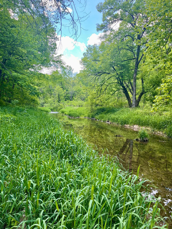 500008625_10094853597217101_6948017460582554840_n