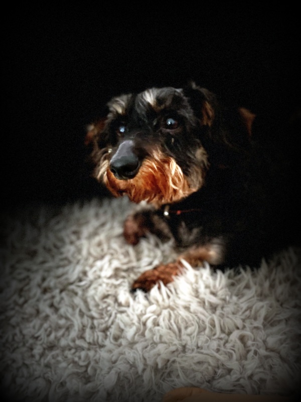 [Image: IMG-0143.jpg]