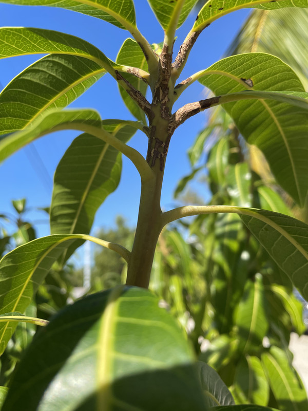 82DDB895-62AD-4C00-907B-02B3DA8ABD53