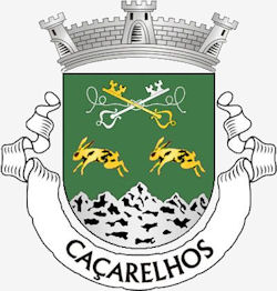 Cacarelhos