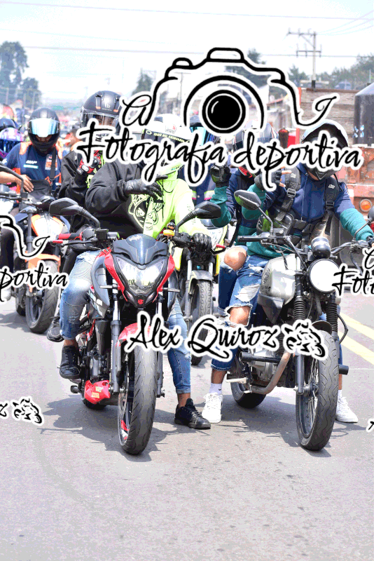 AVQ 0135 — Postimages