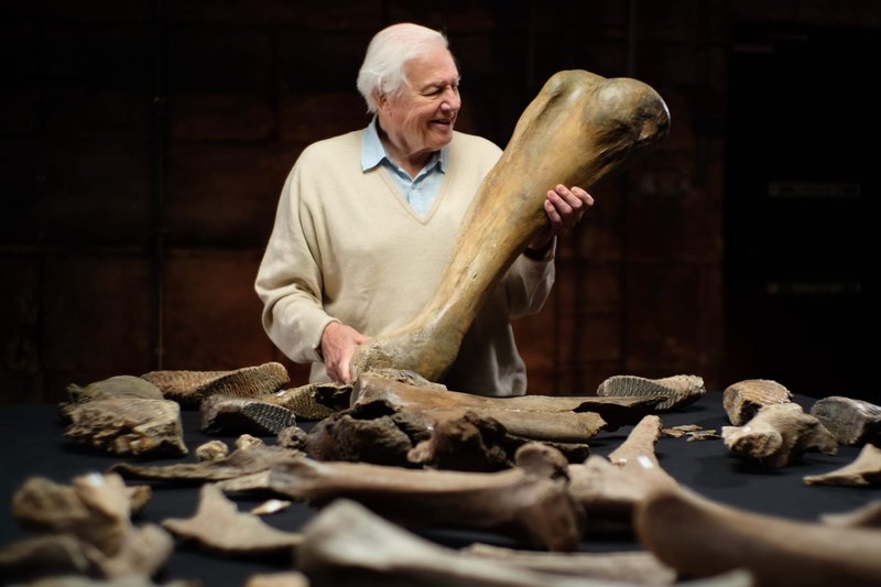 Attenborough-and-the-Mammoth-Graveyard.jpg