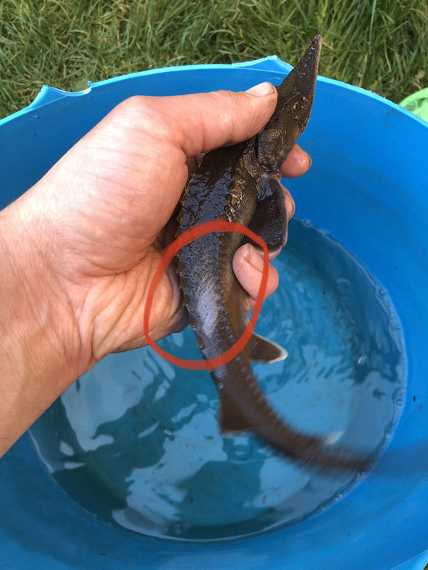 F7D57752-0379-4183-8172-297C97876A16