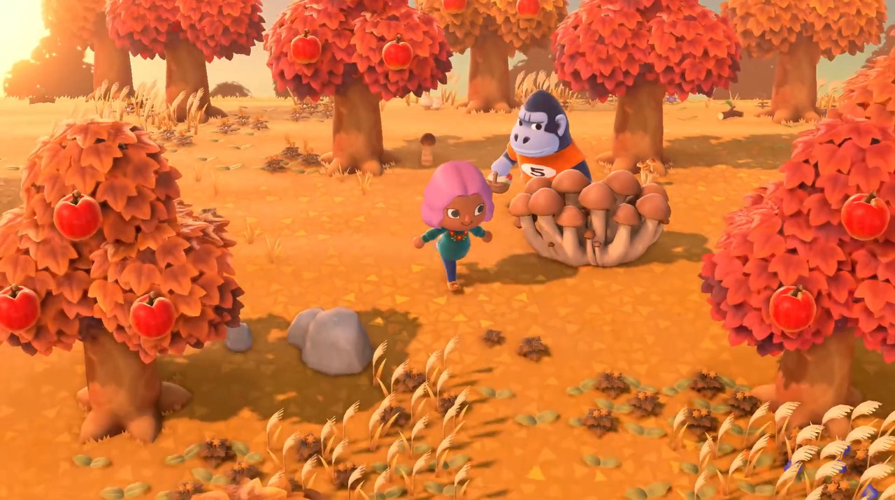 312F3242-2DE3-4379-A8DC-6E12B30405CF