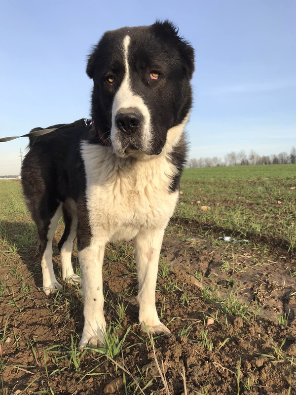 изображение_viber_2019-10-31_16-22-40