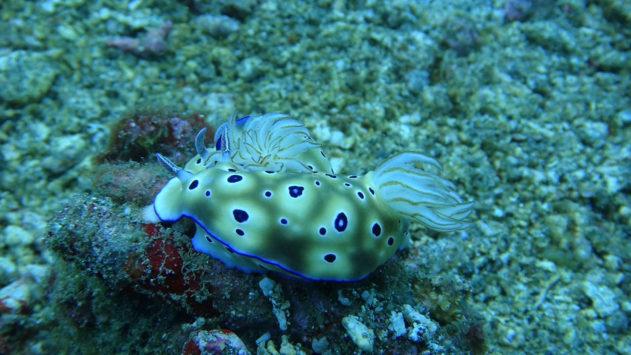 58E30210-6F34-44C9-8802-CF52B288873D