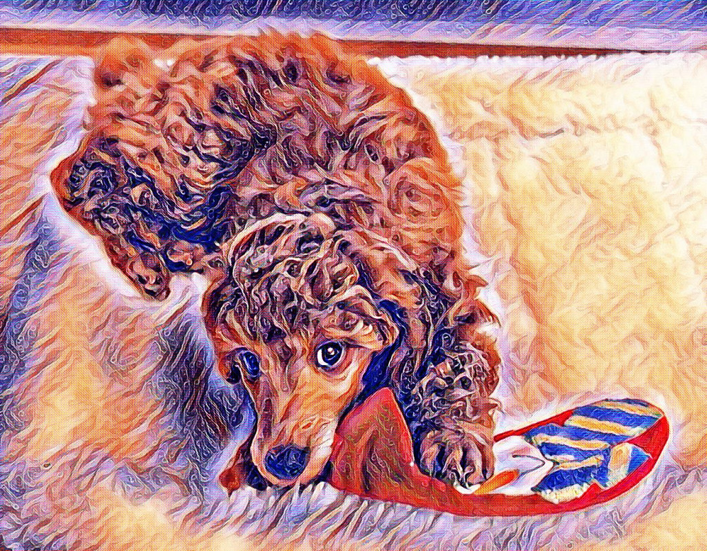 Gift Award Austen1A 2020-12