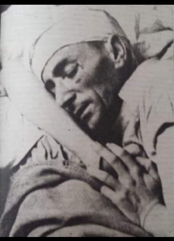 [Слика: 429818923-941689150691132-1170766209933189665-n.jpg]