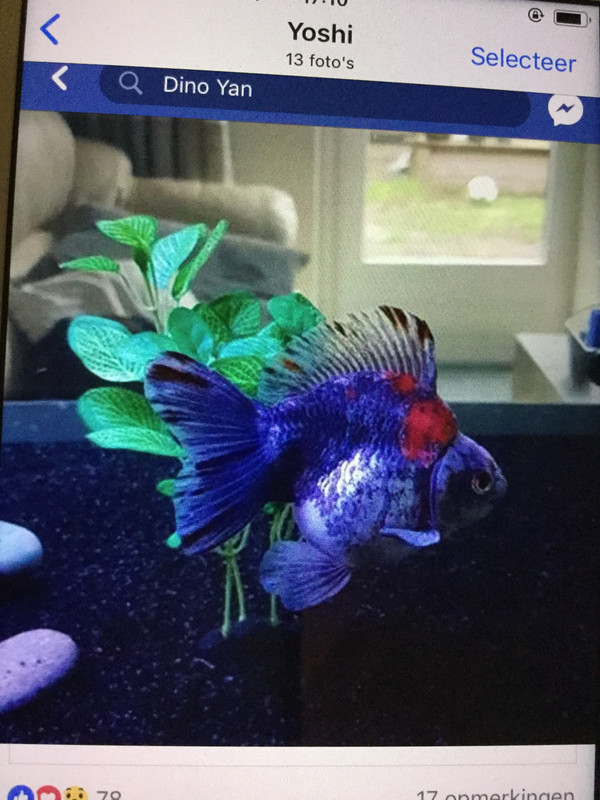 93D919F0-7DFA-4CC0-9F70-CBC728A1DB3A