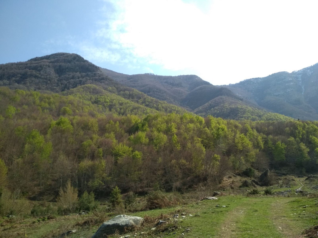 3DF0A641-0E0E-4E73-B0C1-9CB2B9451EAF