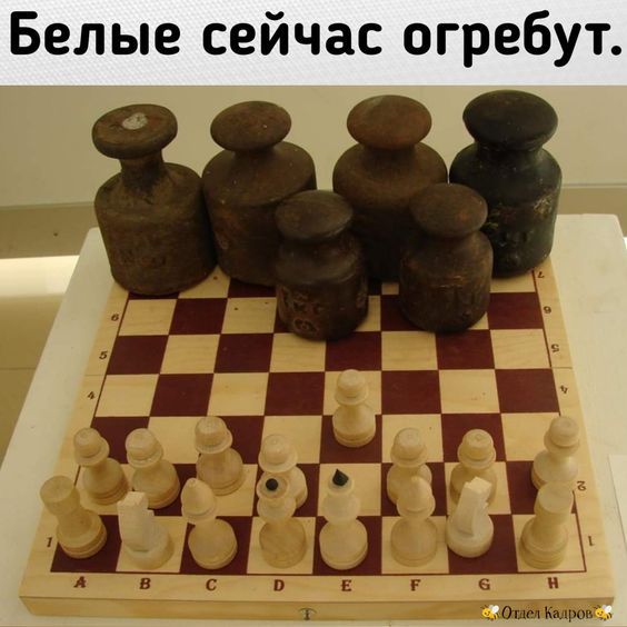 a80b48d517a07cd8e78c1914704a48d3.jpg