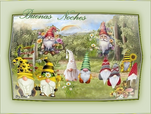 El Bosque de los Gnomos  Noches