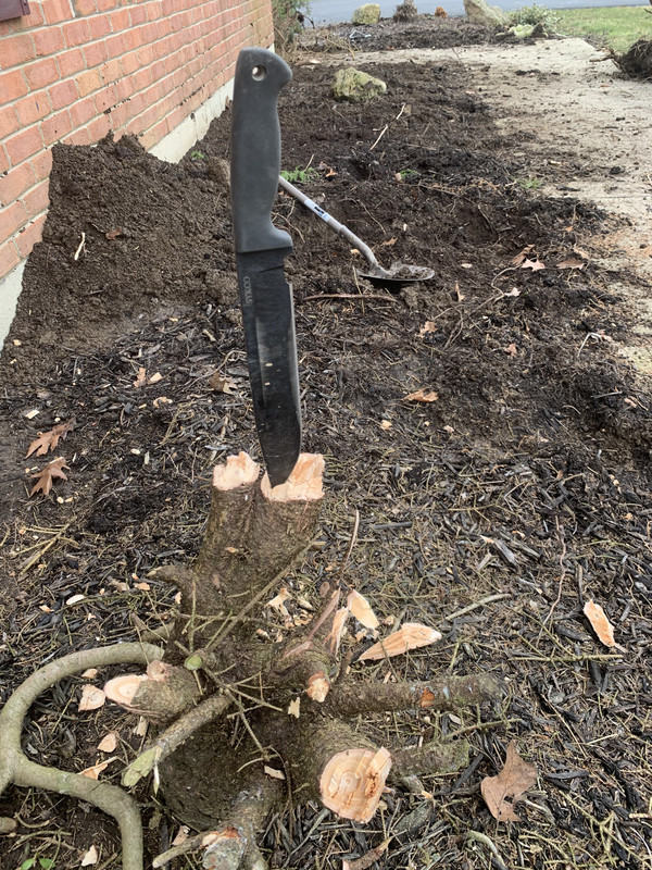 59DD1DEB-B178-4B15-A081-C978086745F5