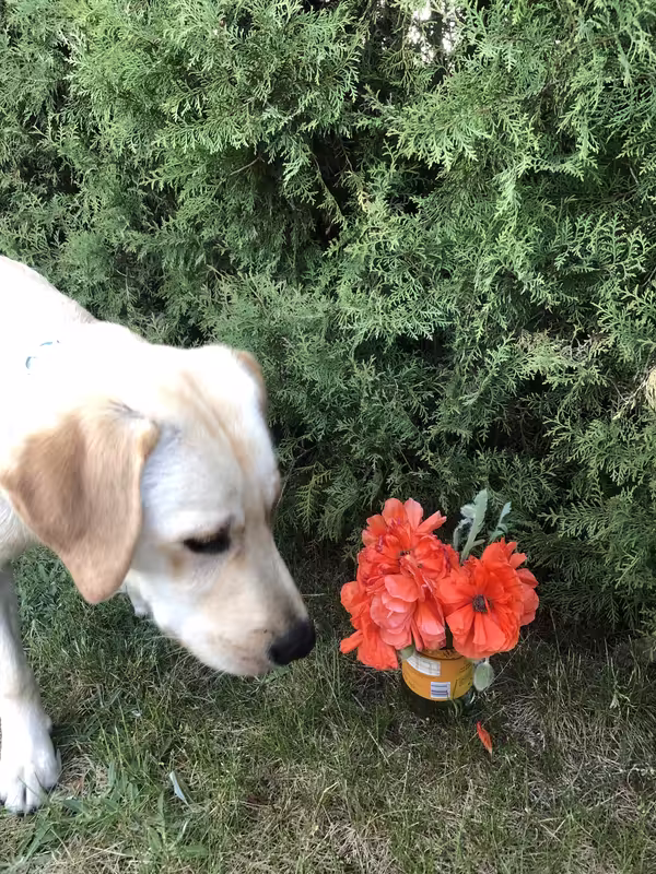 C7140CD1-7F34-42AD-A3F1-E43BC56CD324