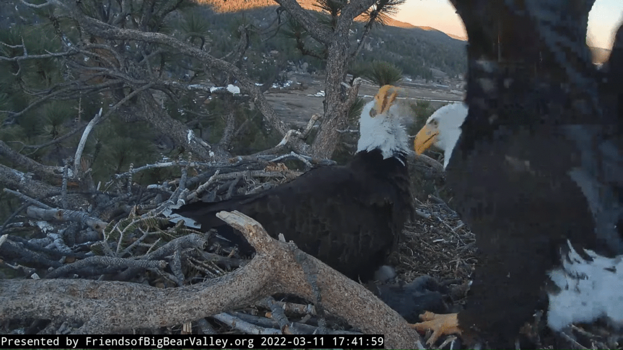 Webp.net-gifmaker (2)