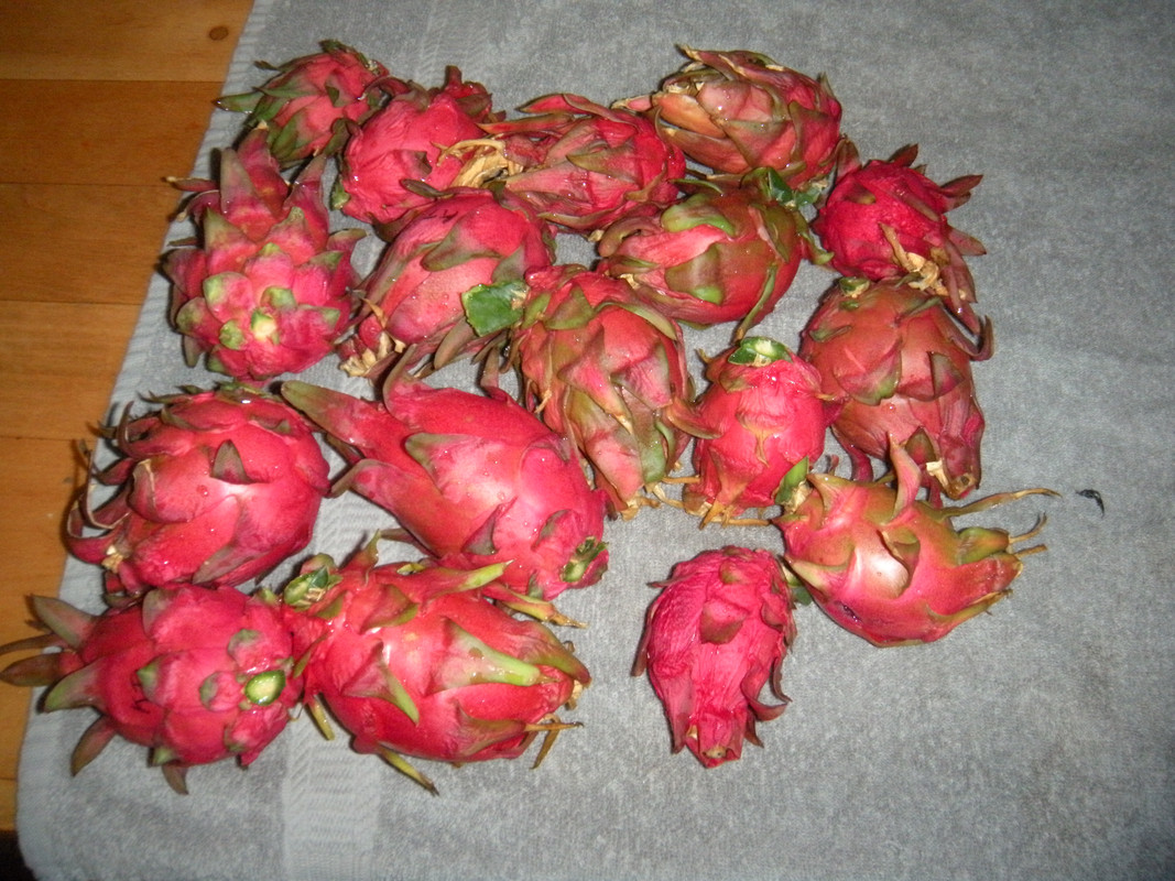 DSCN1573