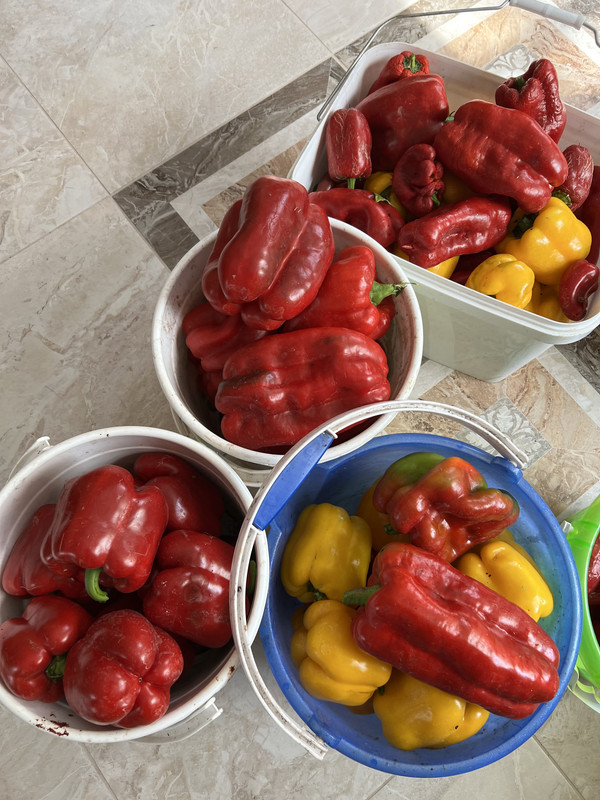 03AC5F23-8ACF-4503-9FBC-5B4BBD9C10DA