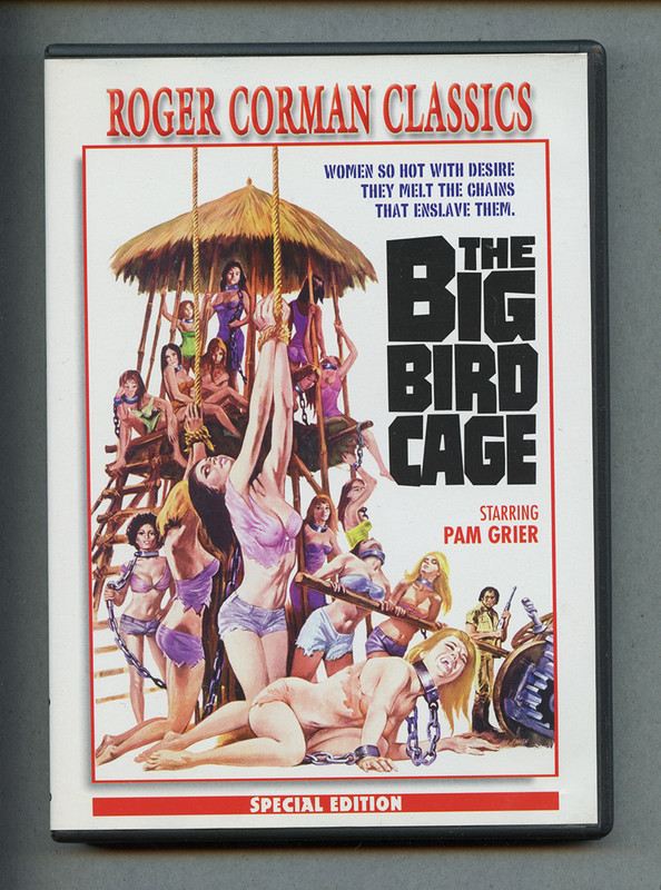 Big-Bird-Cage.jpg
