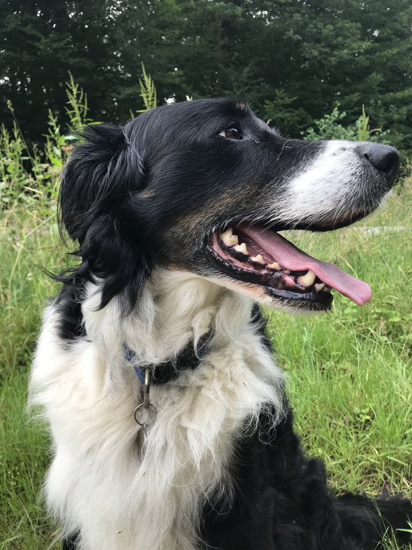 73E932C4-766A-4310-B0EA-F33A075F44C3