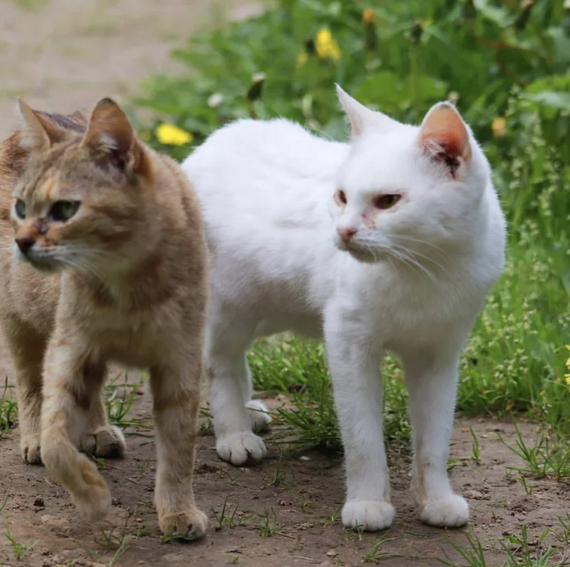 A8DF0189-A417-4172-AF7D-CA552201ACFD