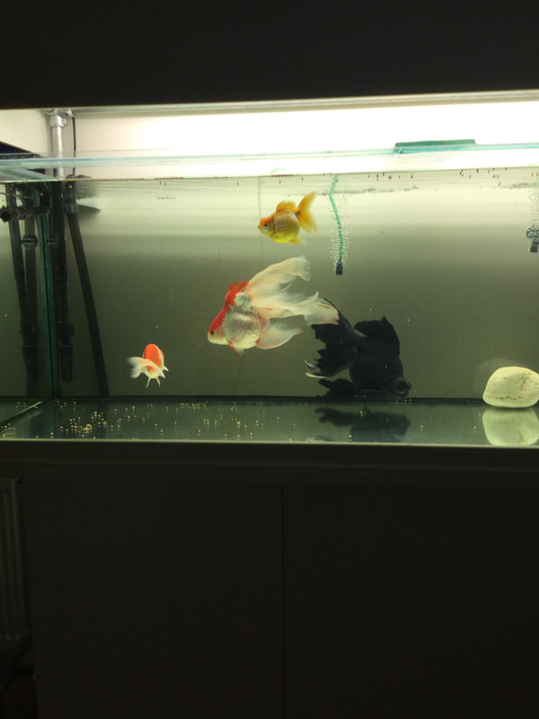 2DF864AA-0C83-4EB4-894F-EE1F9CAB81AA