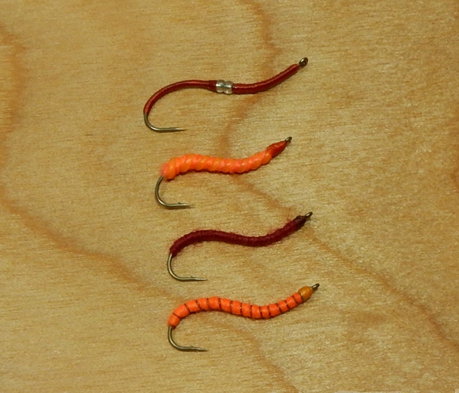 Swimming-Worms-1080.jpg