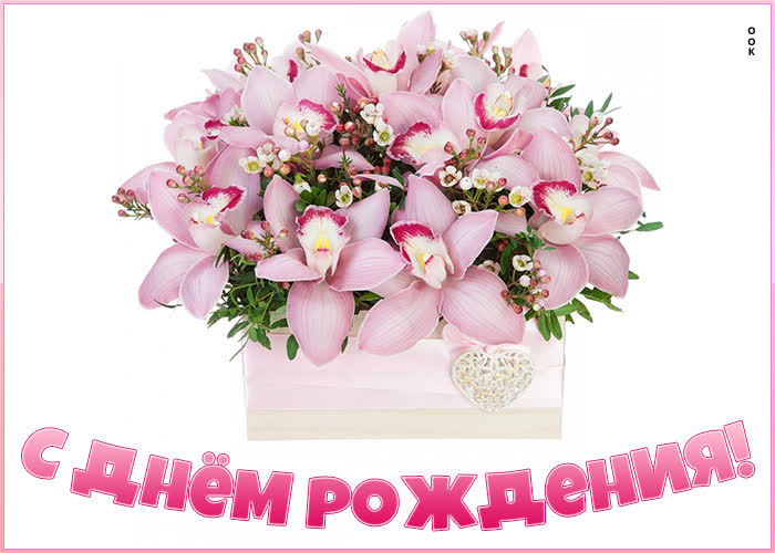 https://i.postimg.cc/brT0BdnF/kartinka-s-dnem-rozhdeniya-zhenshchine-s-tsvetochkami-91467.jpg
