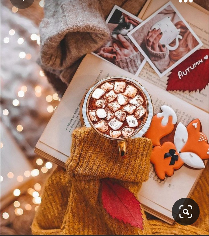 Screenshot_20231015_211039_Pinterest