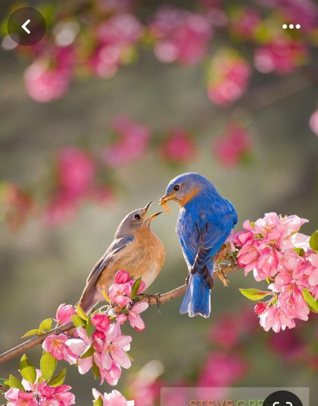 Screenshot_20240305_222849_Pinterest