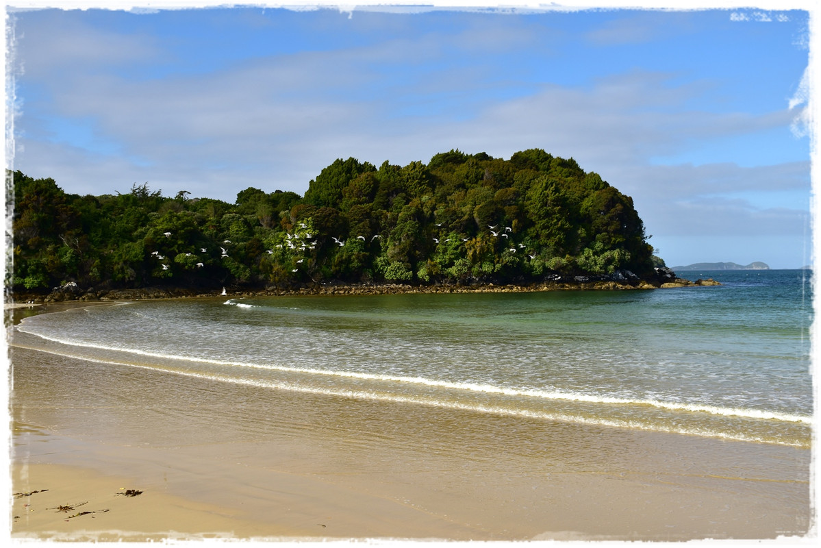 Escapadas y rutas por la Nueva Zelanda menos conocida - Blogs de Nueva Zelanda - Stewart Island:  kiwis, Coast to Coast y unos días en Oban (febrero 2021) (51)