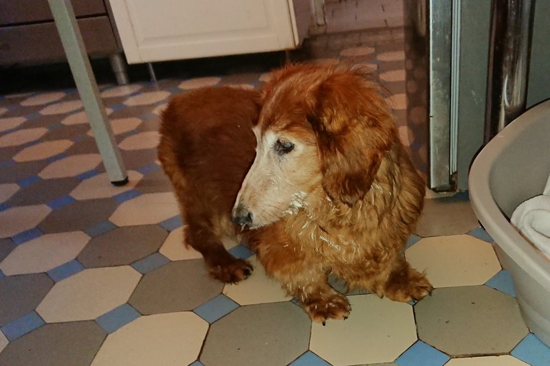 [Image: DSC-2971.jpg]