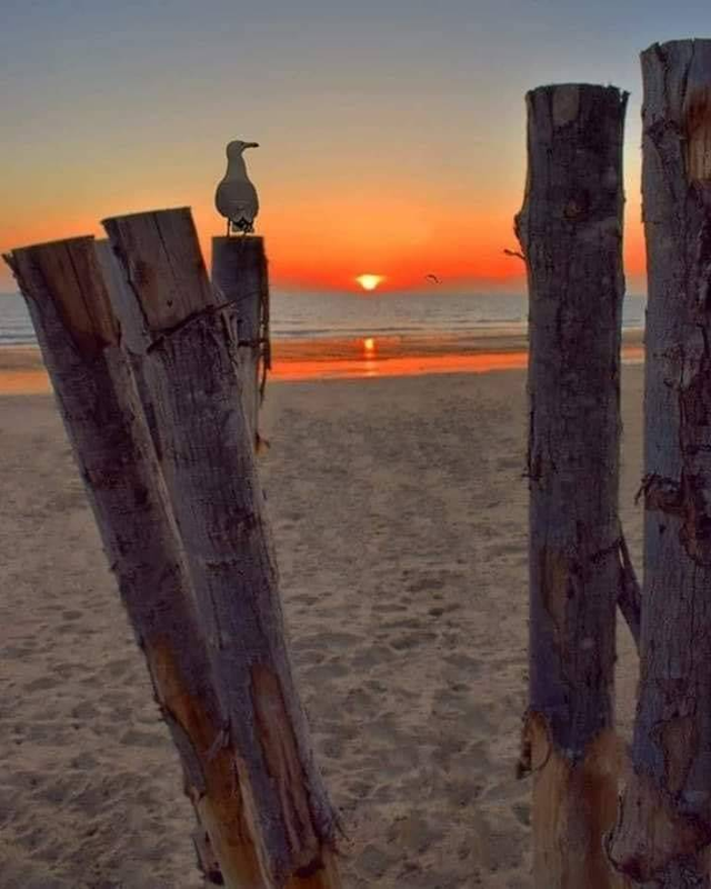 ٢٠٢١٠٦٢٣_٢١١٩٣٤