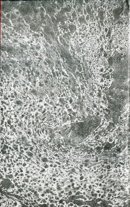 p0002
