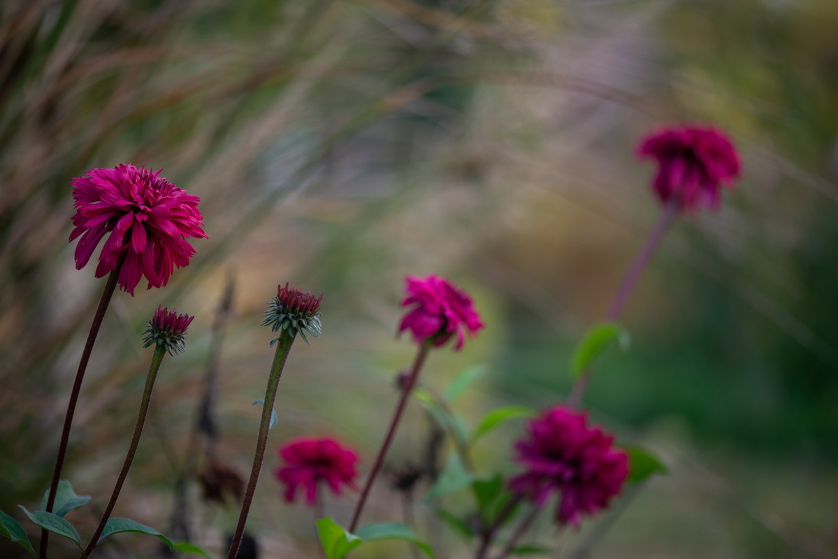 IMG-014976ed6cf6f15c79098582150edfb7-V