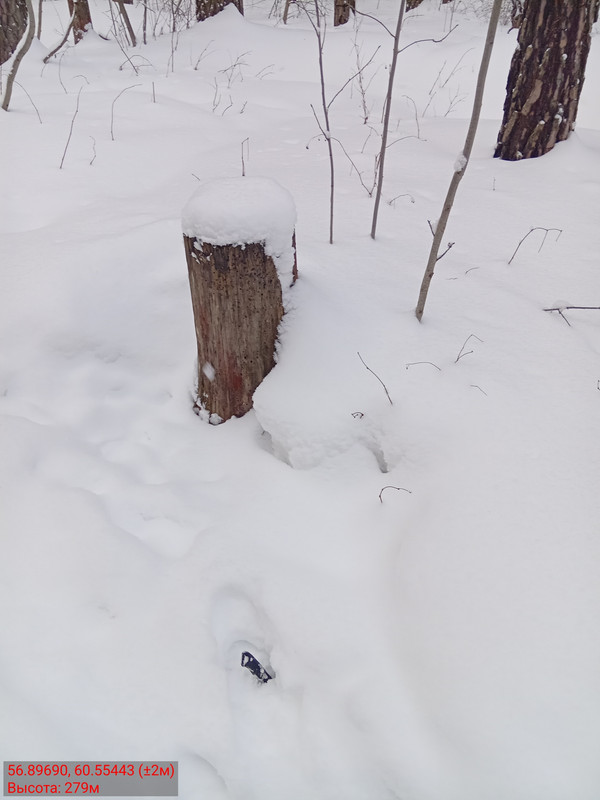 56 89690 60 55443 08032026 160404